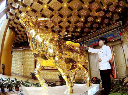 龙希国际大酒店一吨重金牛